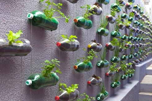 कुछ से रचनात्मकता: बच्चों के खेल के मैदान के लिए प्लास्टिक की बोतलों से शिल्प